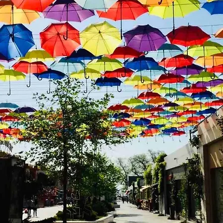 Arcadia Palmyra House With A Sea View *